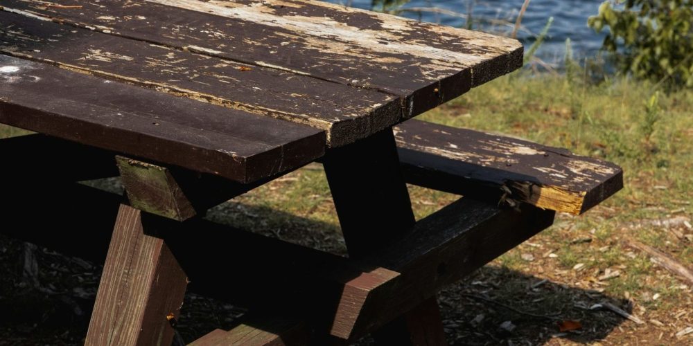 adrian-hernandez-OYY_DocDd2A-unsplash